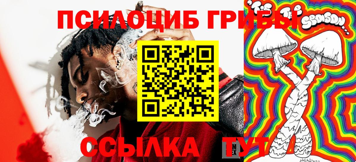 Псилоцибиновые грибы Psilocybe Тайшет