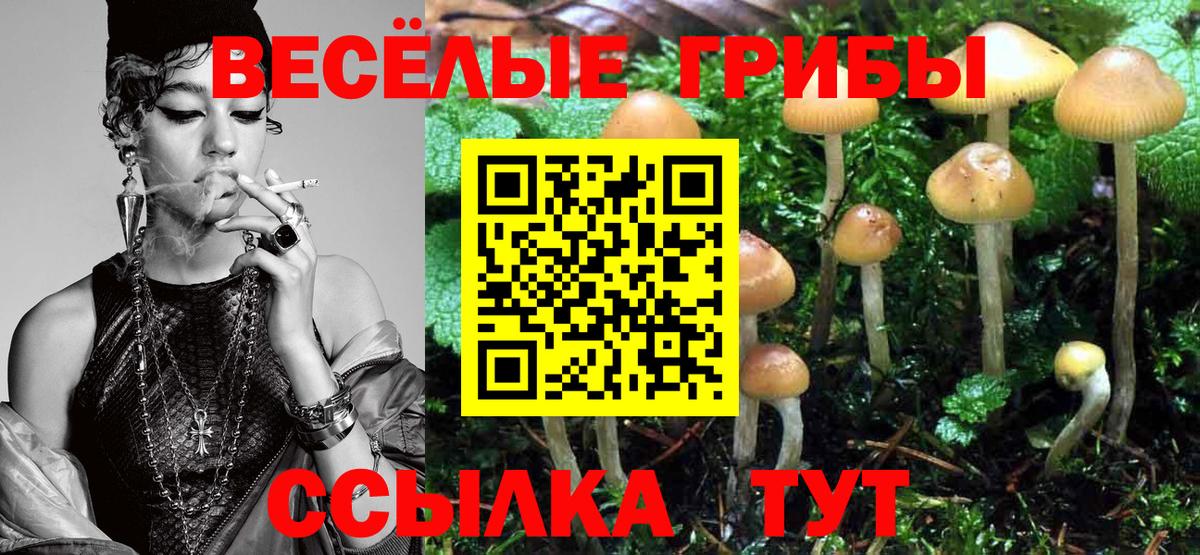 Галлюциногенные грибы ЛСД  Вход с VPN  Тайшет 